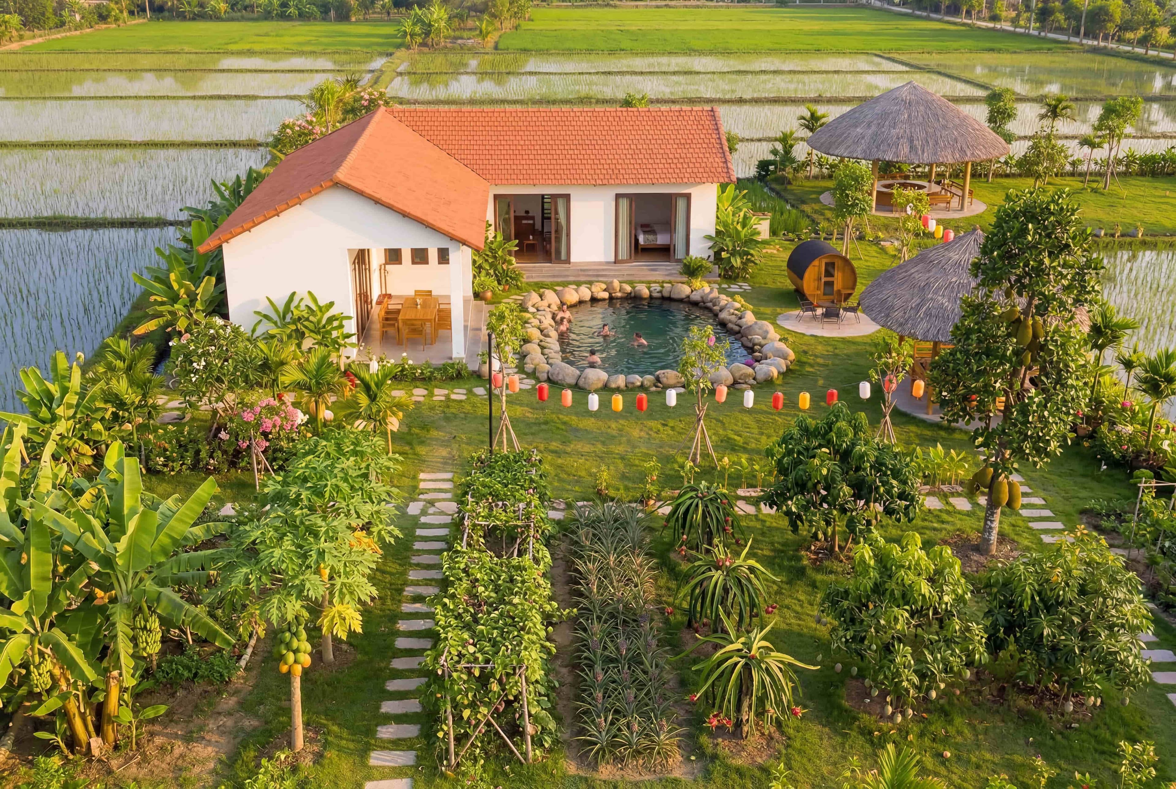 Aerial view of tropical orchard gardens with villa, pool and rice paddies